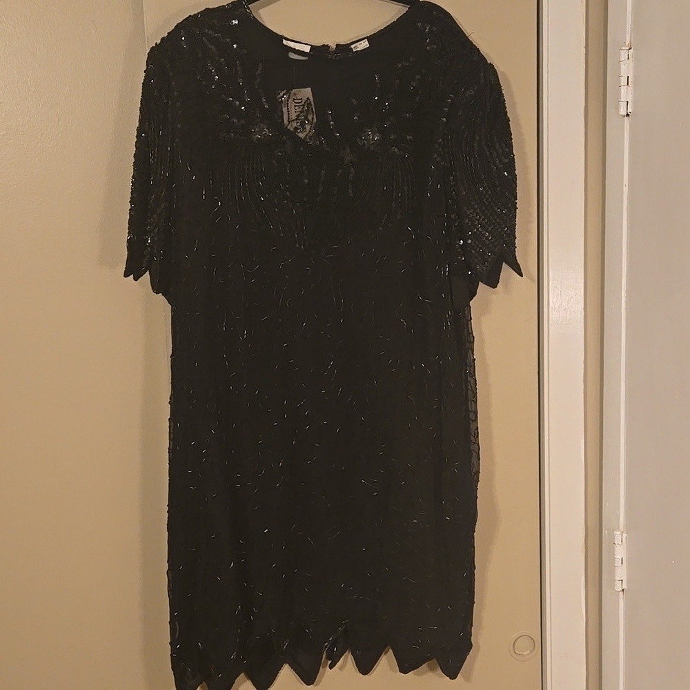 Denise Elle Plus Size Beaded Silk Evening Dress NWT Size 4X